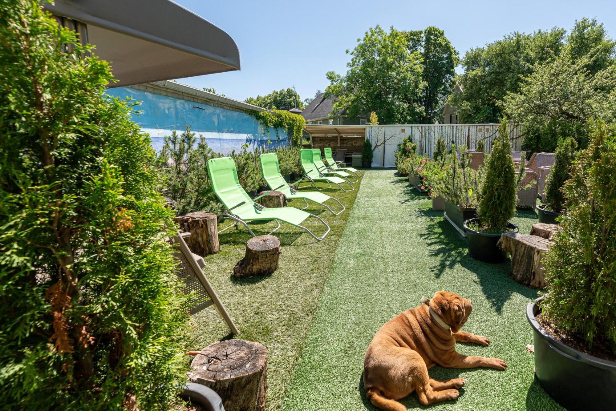 Garden Camping Tallinn Dış mekan fotoğraf