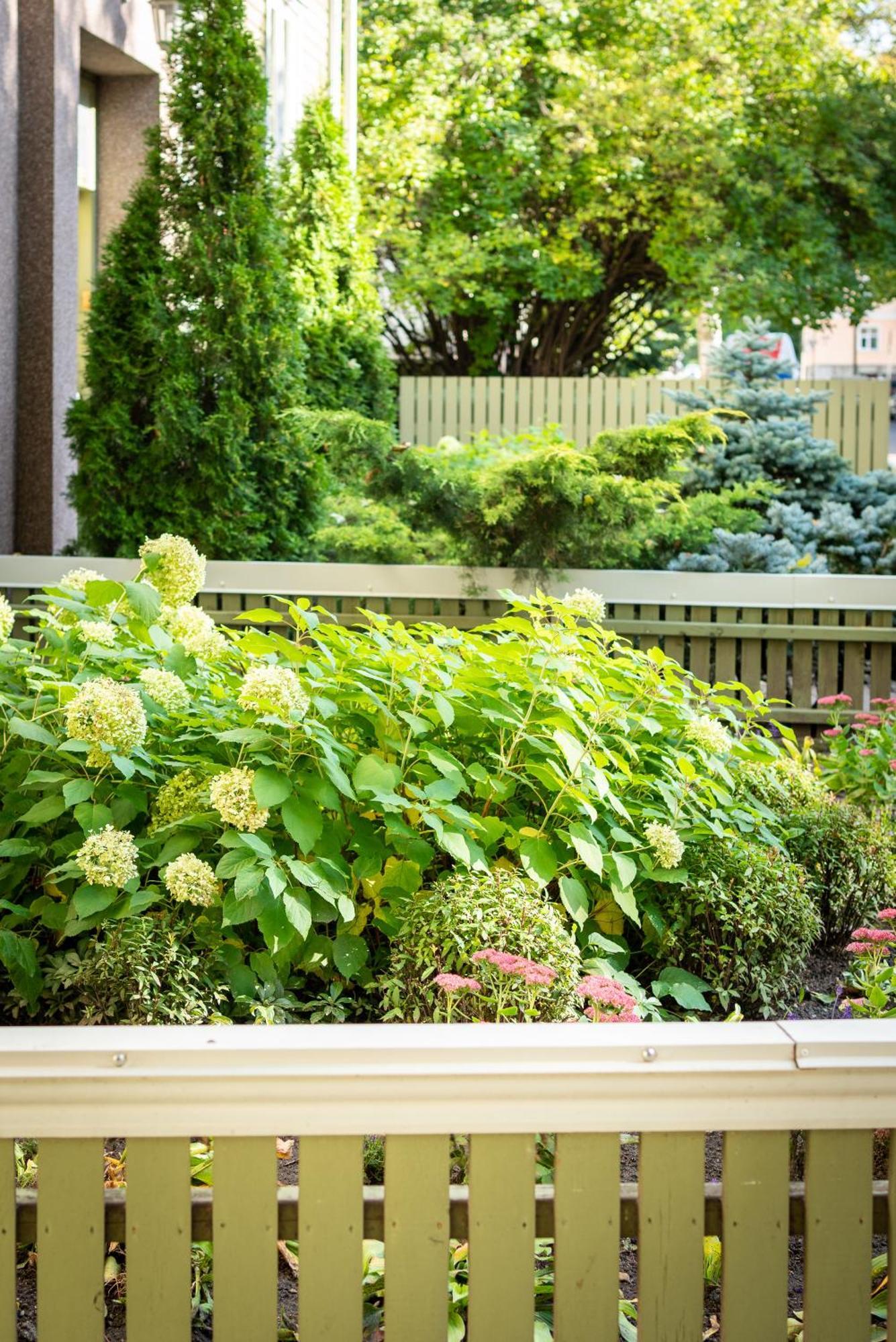 Garden Camping Tallinn Dış mekan fotoğraf